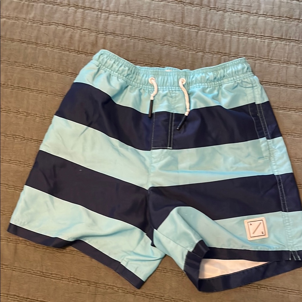 American Eagle Outfitters Blue Striped Swim Shorts